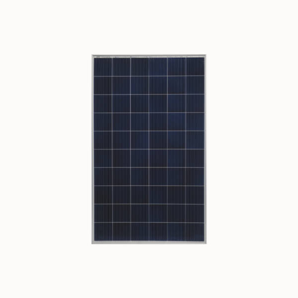 Longi Solar - Görsel 3